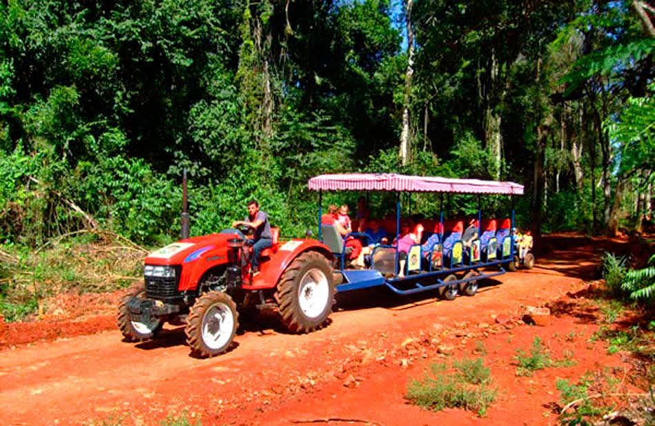 La Guagua del Yaguareté