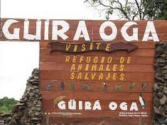 Guira oga