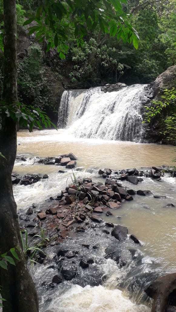 CAMPING EL RECORRIDO (ECO-BIOPARQUE)